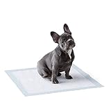 Amazon Basics Trainingspads für Hunde und Welpen, auslaufsicheres 5-lagiges Design mit schnell trocknender Oberfläche, normale Größe, 100 Stück