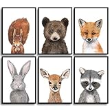 Frechdax® Kinder Poster Kinderzimmer Deko Bilder Waldtiere - Tiere des Waldes DIN A4 6er Set |