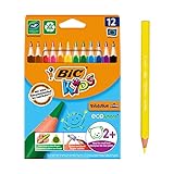 BIC Kids Buntstifte ECOlutions Evolution, Ergonomische Dreikant-Malstifte zum Malen in 12 Farben, im Karton Etui, ab 2 Jahre