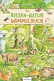 Das Riesen-Natur-Wimmelbuch: Die Natur entdecken für Kinder ab 2 Jahren