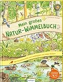 Mein großes Natur-Wimmelbuch: Mit Panorama-Ausklappseite und vielen Stickern